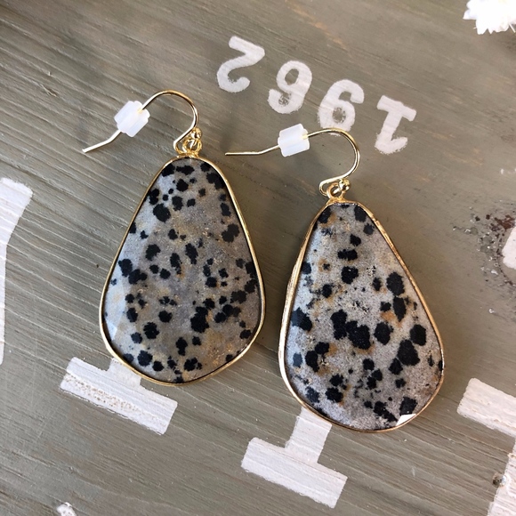 Anthropologie Jewelry - Anthropologie Luna Drop Earrings